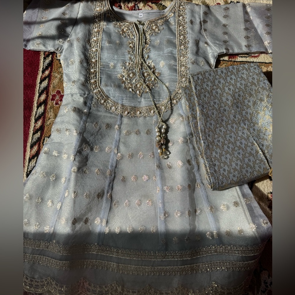 Elegant gray and Gold Embroidered Outfit - Picture 4 of 5